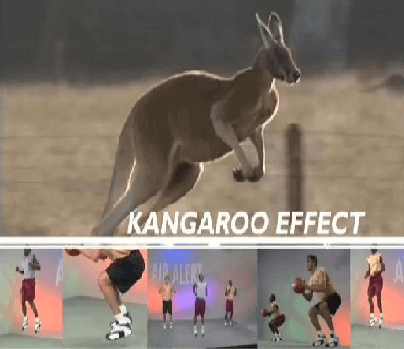 Air Alert Kangaroo Effect