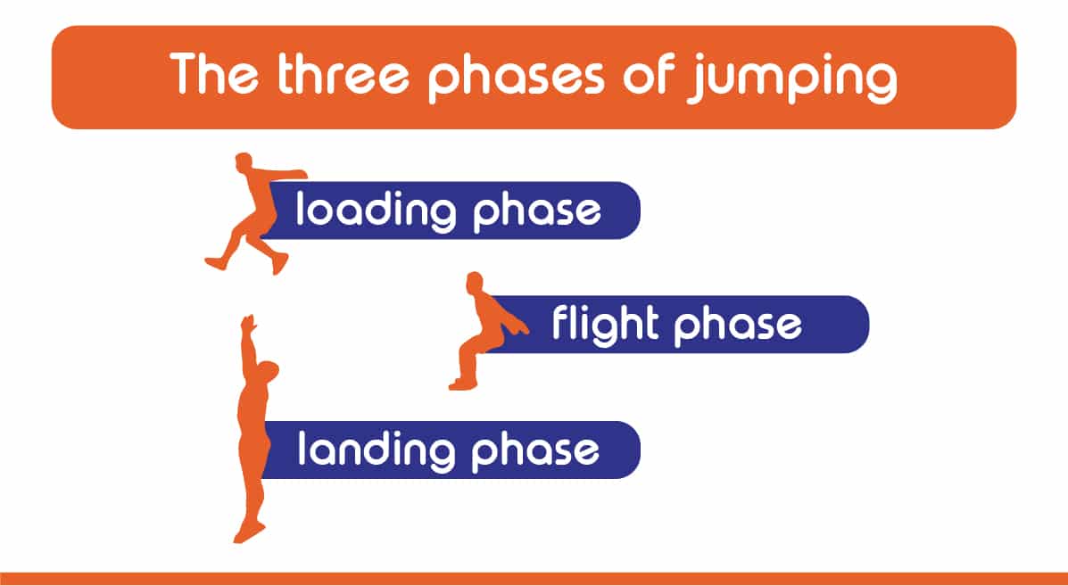 the 3 phases of jumping