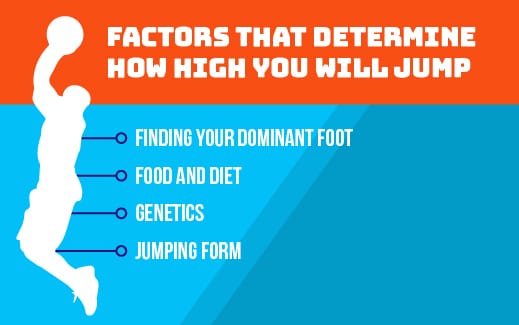 Which Factors Will Determine How High You Will Jump?